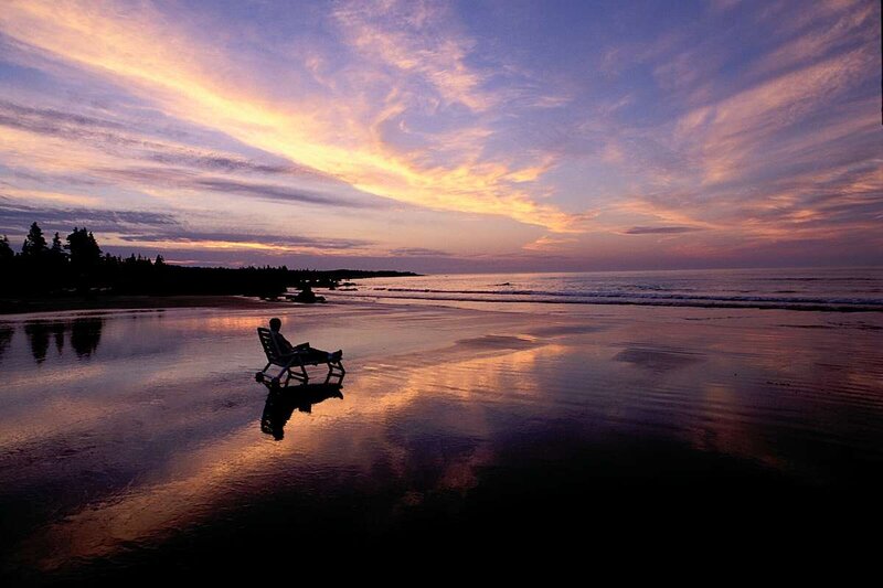 Person in Beach Chair — Purple