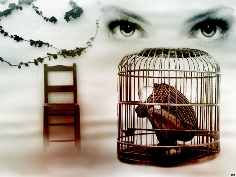 Person in Birdcage