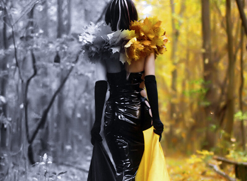 Person in Black Dress