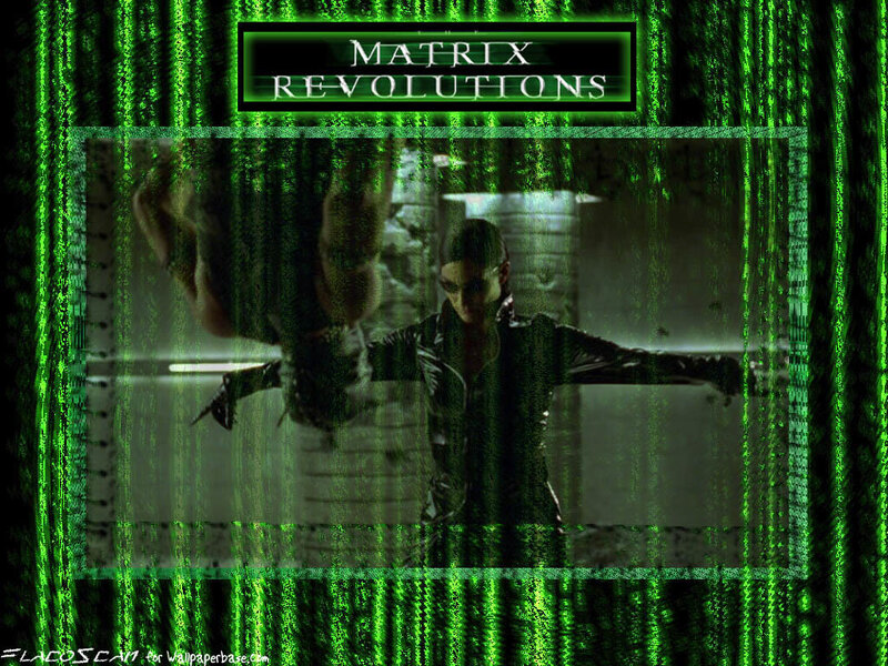 Person in Black Leather Jacket — Green