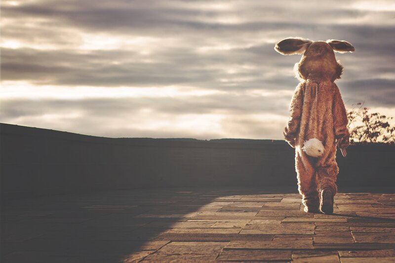 Person in Bunny Costume — Brown