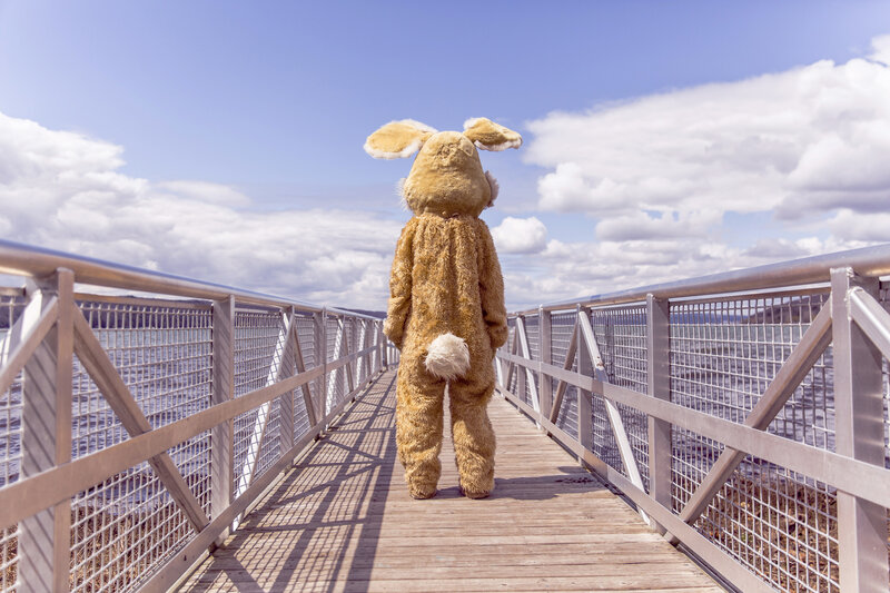 person in bunny costume on pier