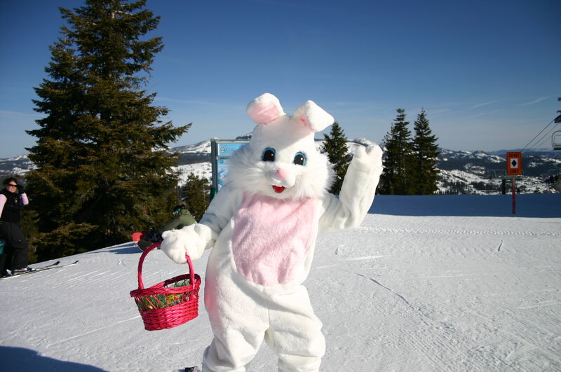 Person in Bunny Costume — White