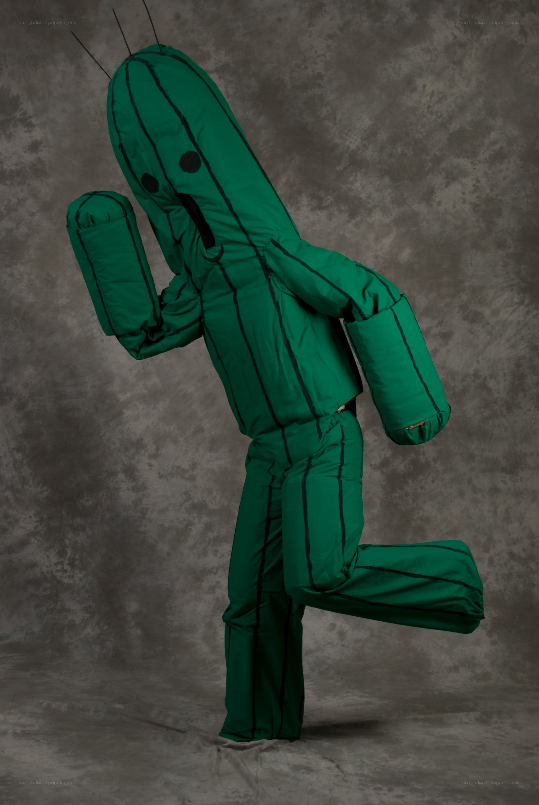 person in cactus costume