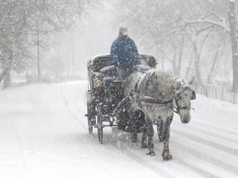 Person in Carriage