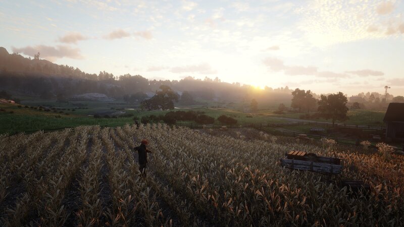 Person in Cornfield — Green