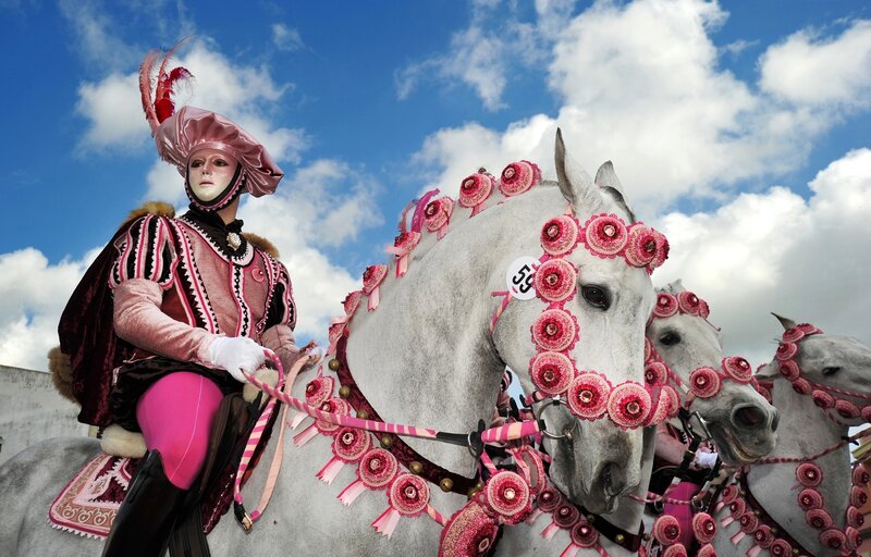 Person in Costume on Horse