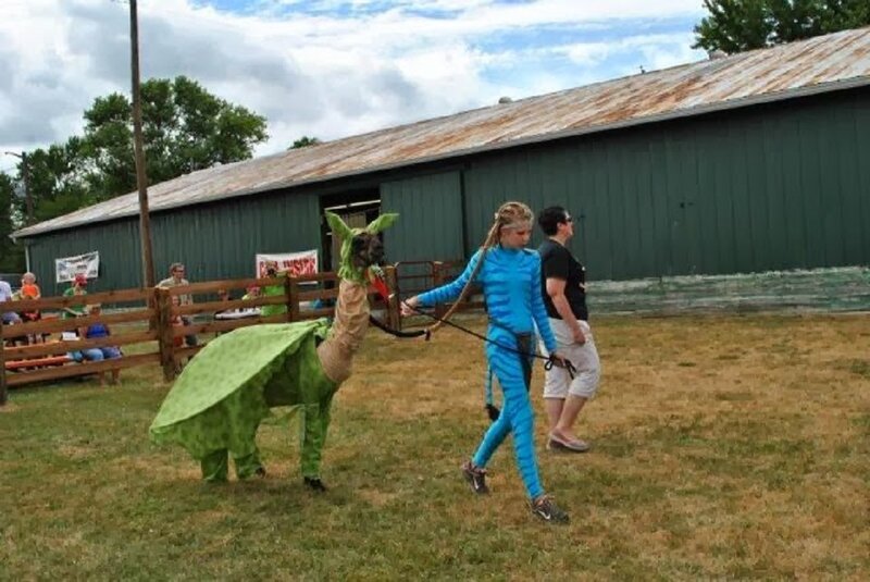 Person in Costume with Llama