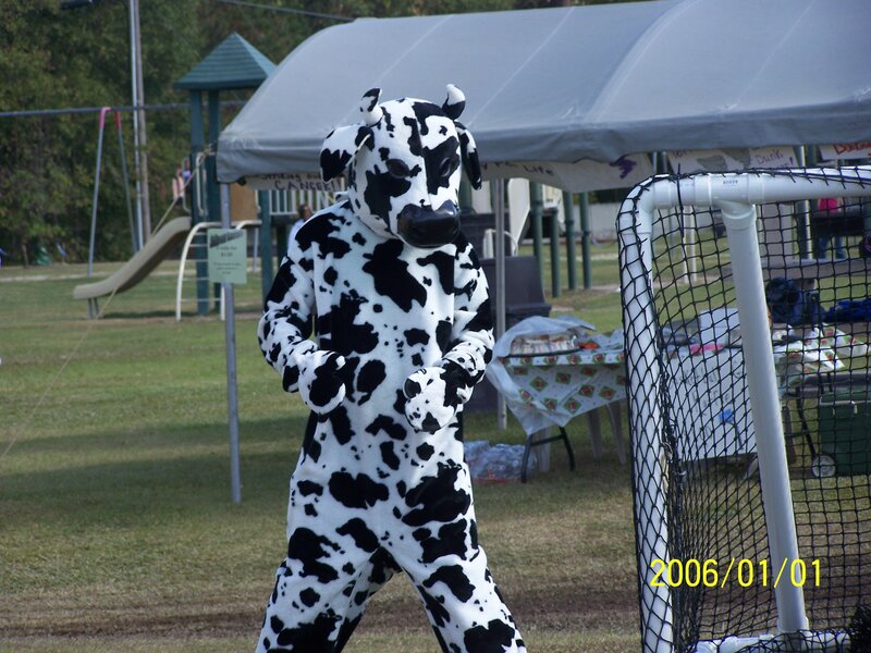 person in cow costume at event