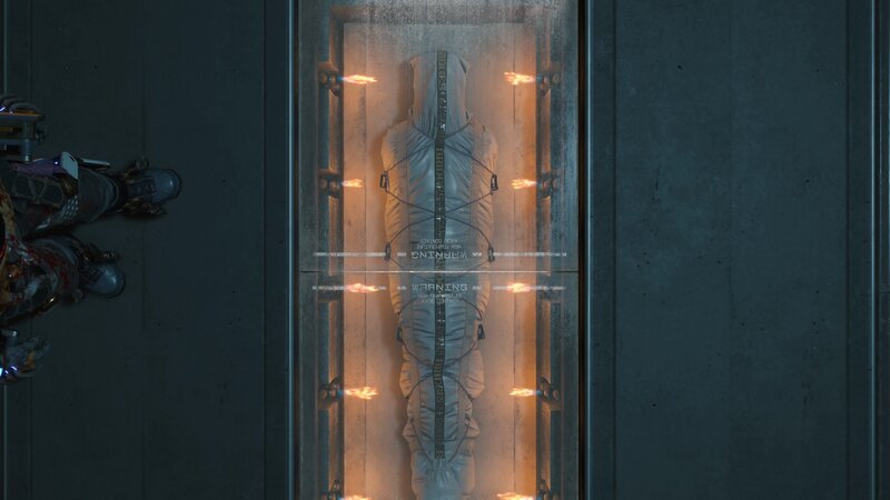Person in Cryo-pod — Gray