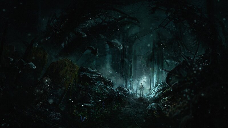 Person in Dark Forest — Black, Night