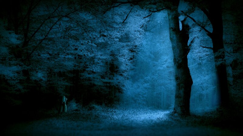 Person in Dark Forest — Blue