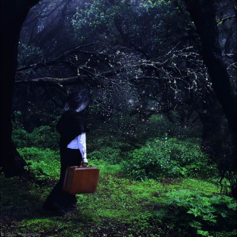 Person in Dark Forest — Green