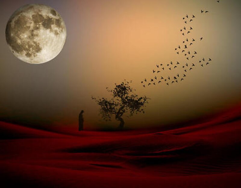 Person in Desert Landscape — Red