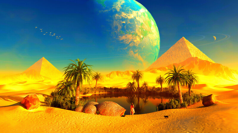 Person in Desert Oasis