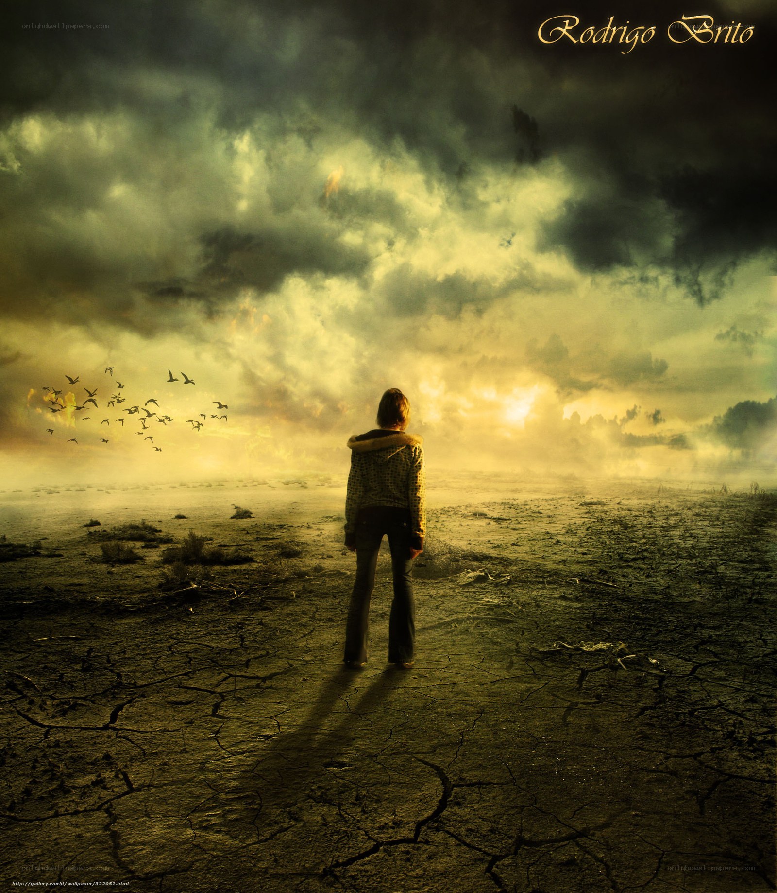 person in desolate landscape