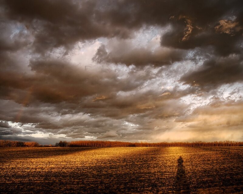 Person in Field — Brown, Dramatic