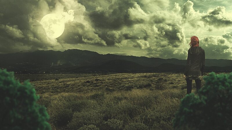 person in field under moon