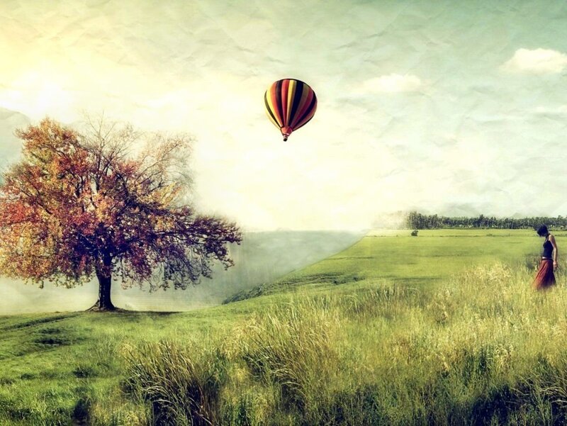 Person in Field with Hot Air Balloon