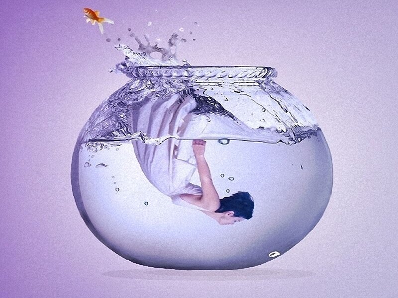 person in fishbowl with goldfish