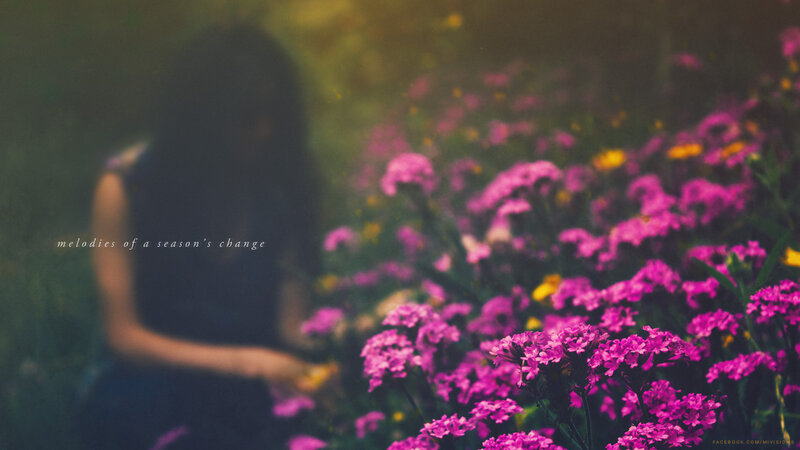 Person in Flower Field — Purple