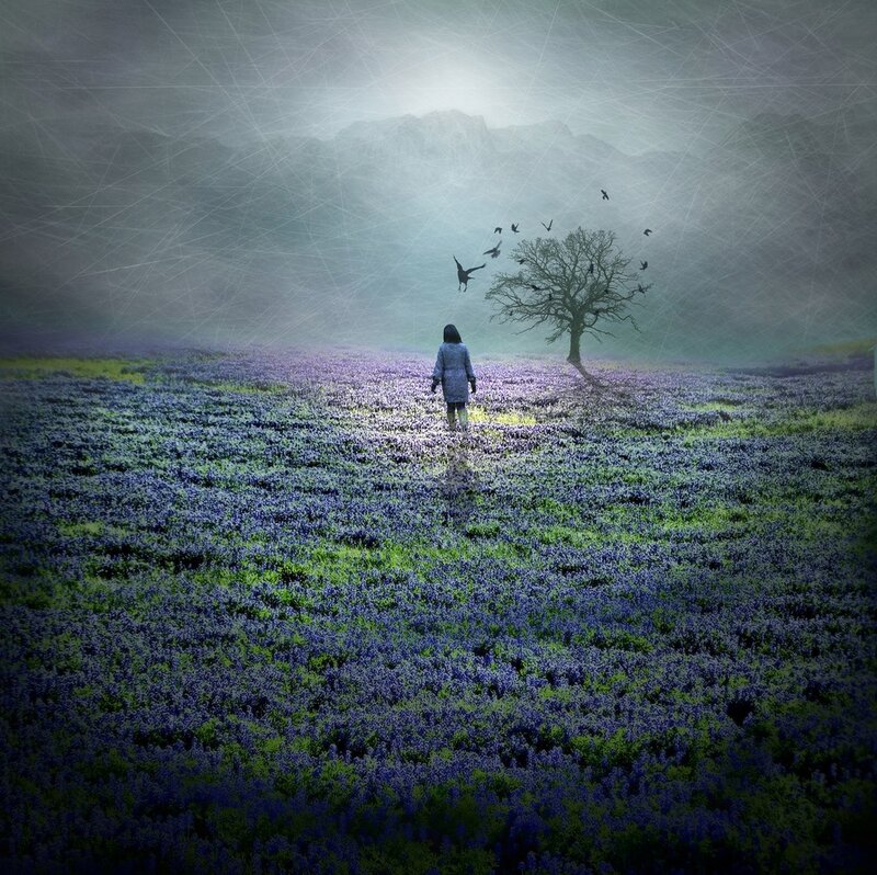 Person in Flower Field