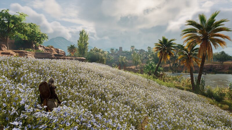 Person in Flower Field — White