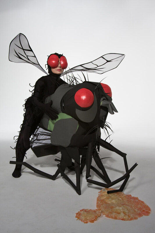 person in fly costume
