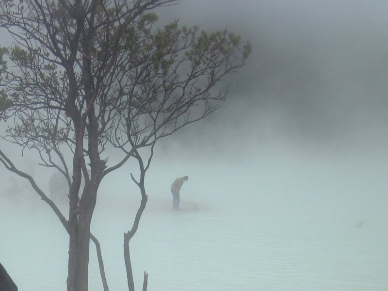 Person in Fog