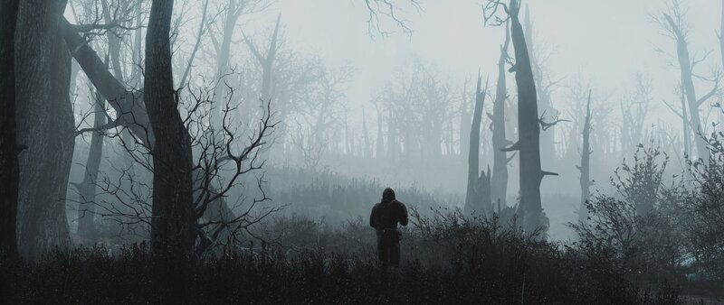 Person in Foggy Forest — Gray, Dreary, Mysterious