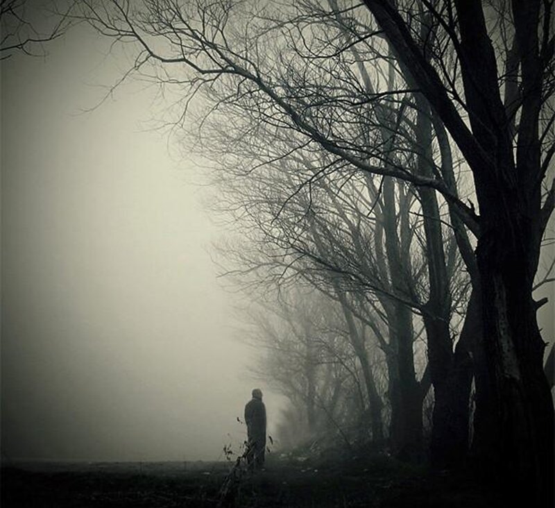 Person in Foggy Forest — Gray