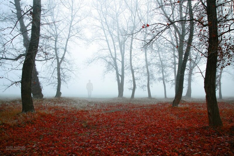 Person in Foggy Forest — Red