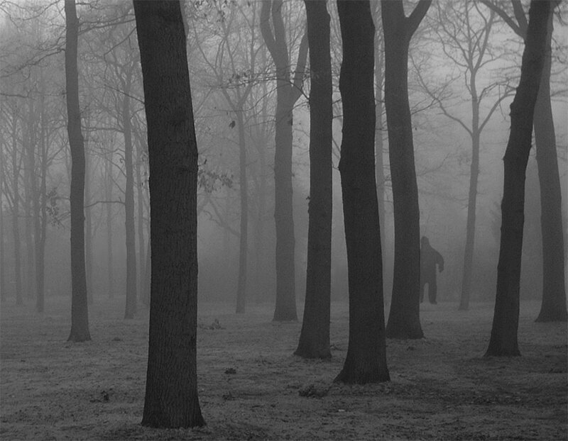 Person in Foggy Forest