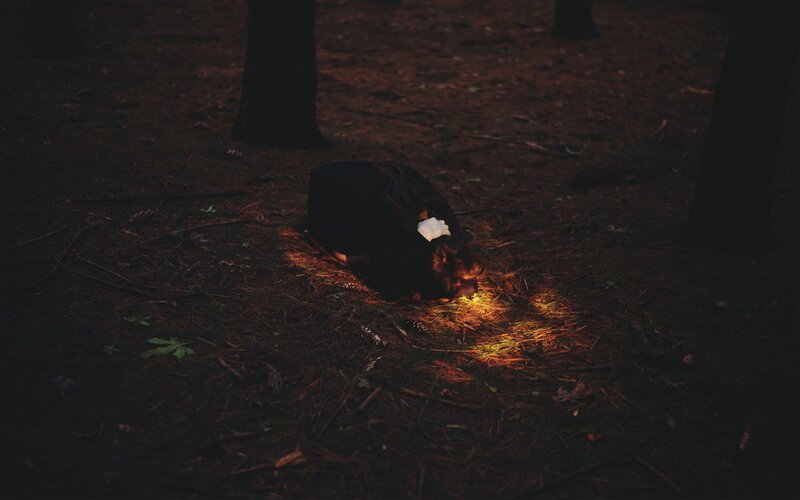 Person in forest at night