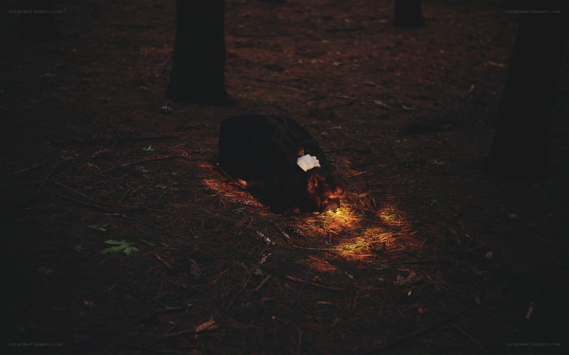 Person in forest at night