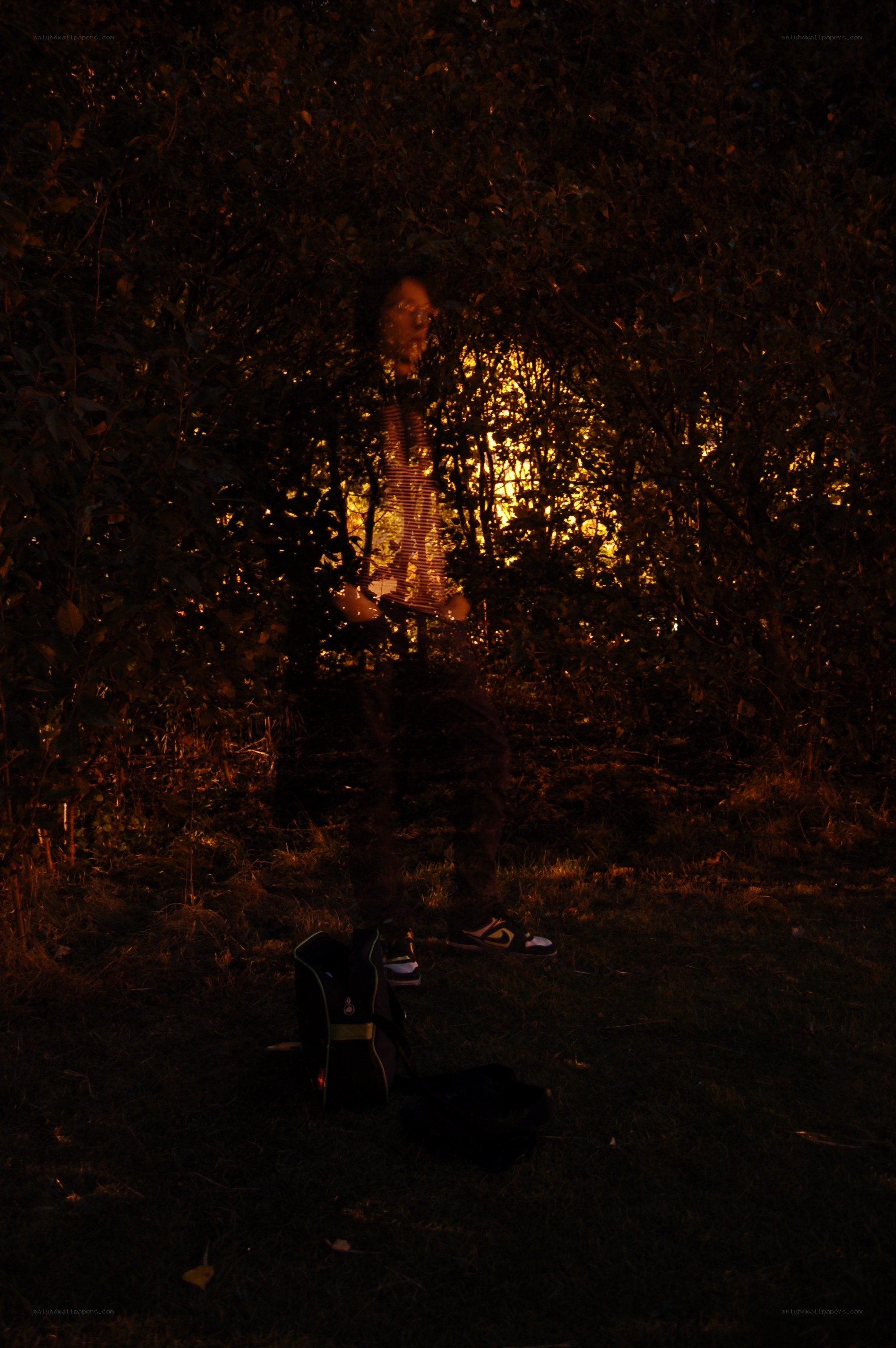 person in forest at night