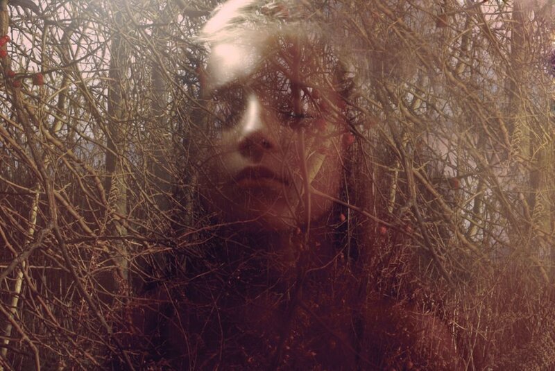Person in Forest — Brown