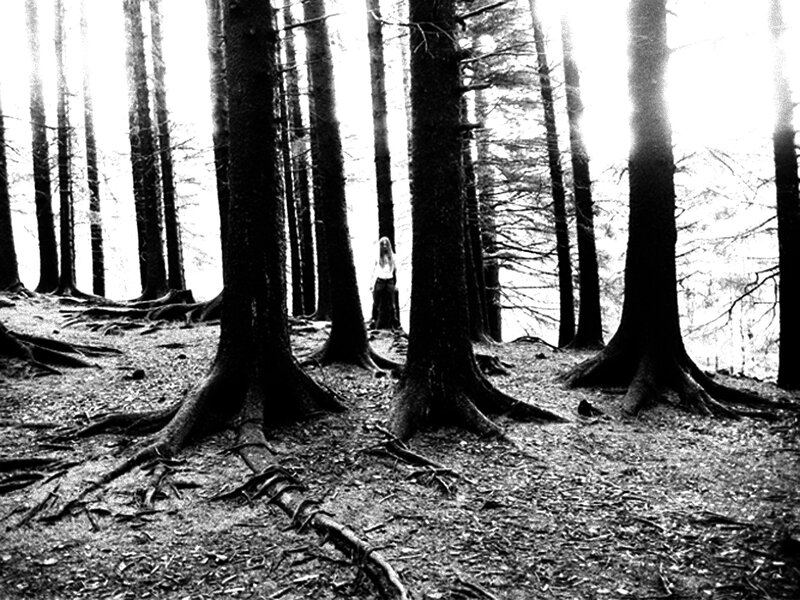 person in forest clearing