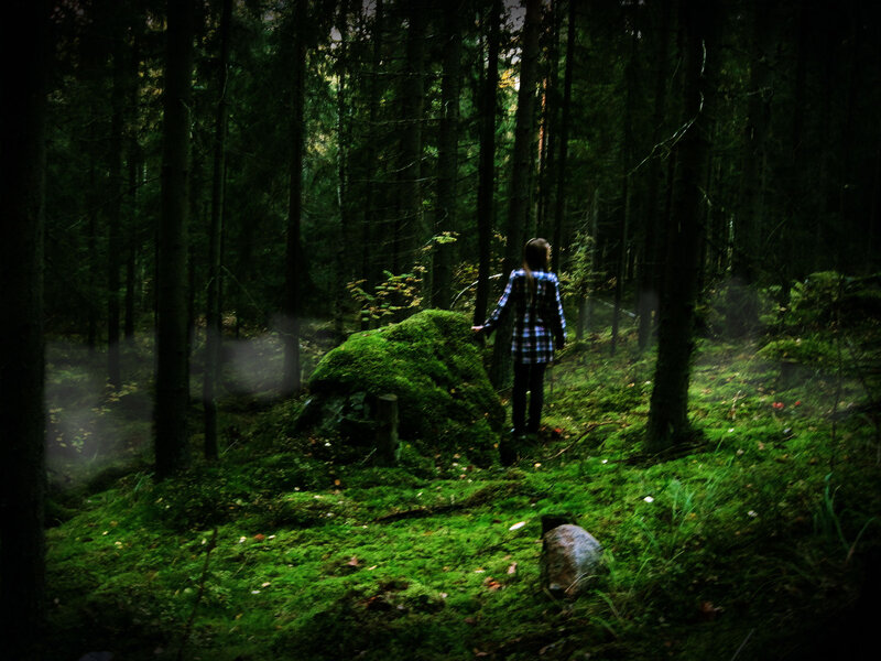 Person in Forest — Green, Dark, Night