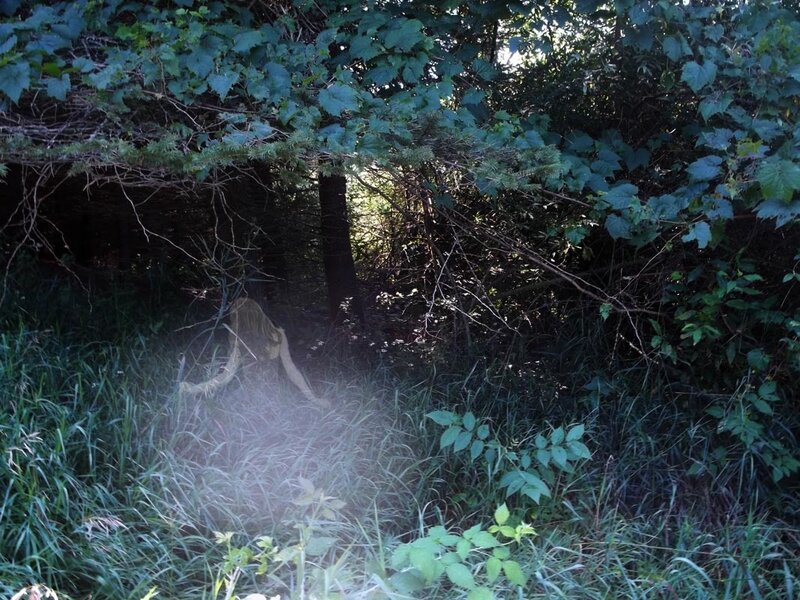 Person in Forest — Green, Natural