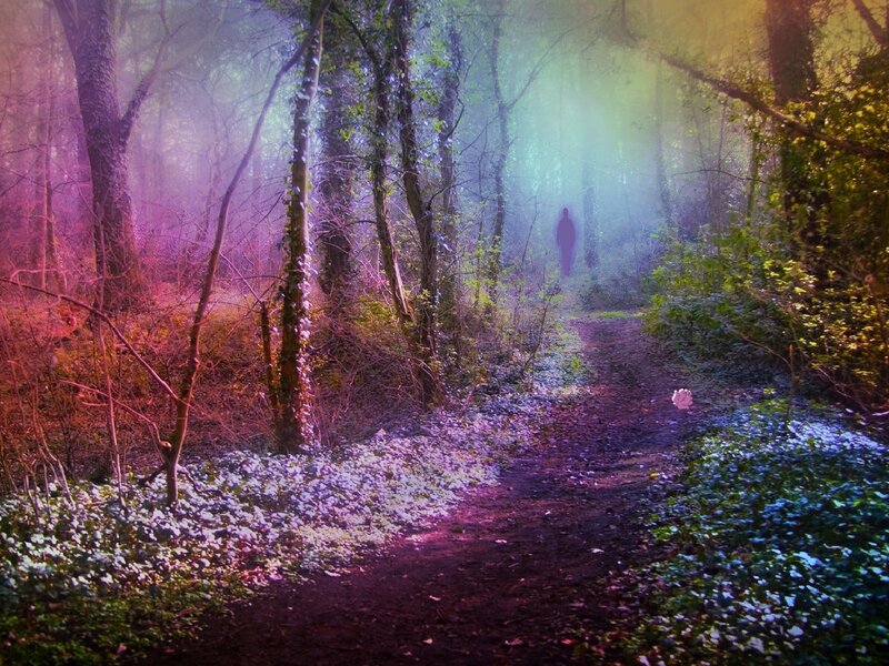 Person in Forest Path — Purple