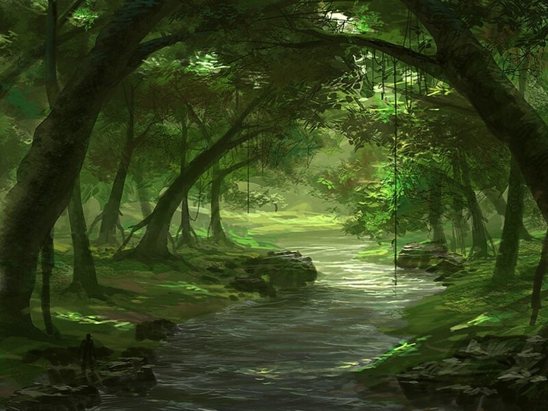 Person in Forest Stream
