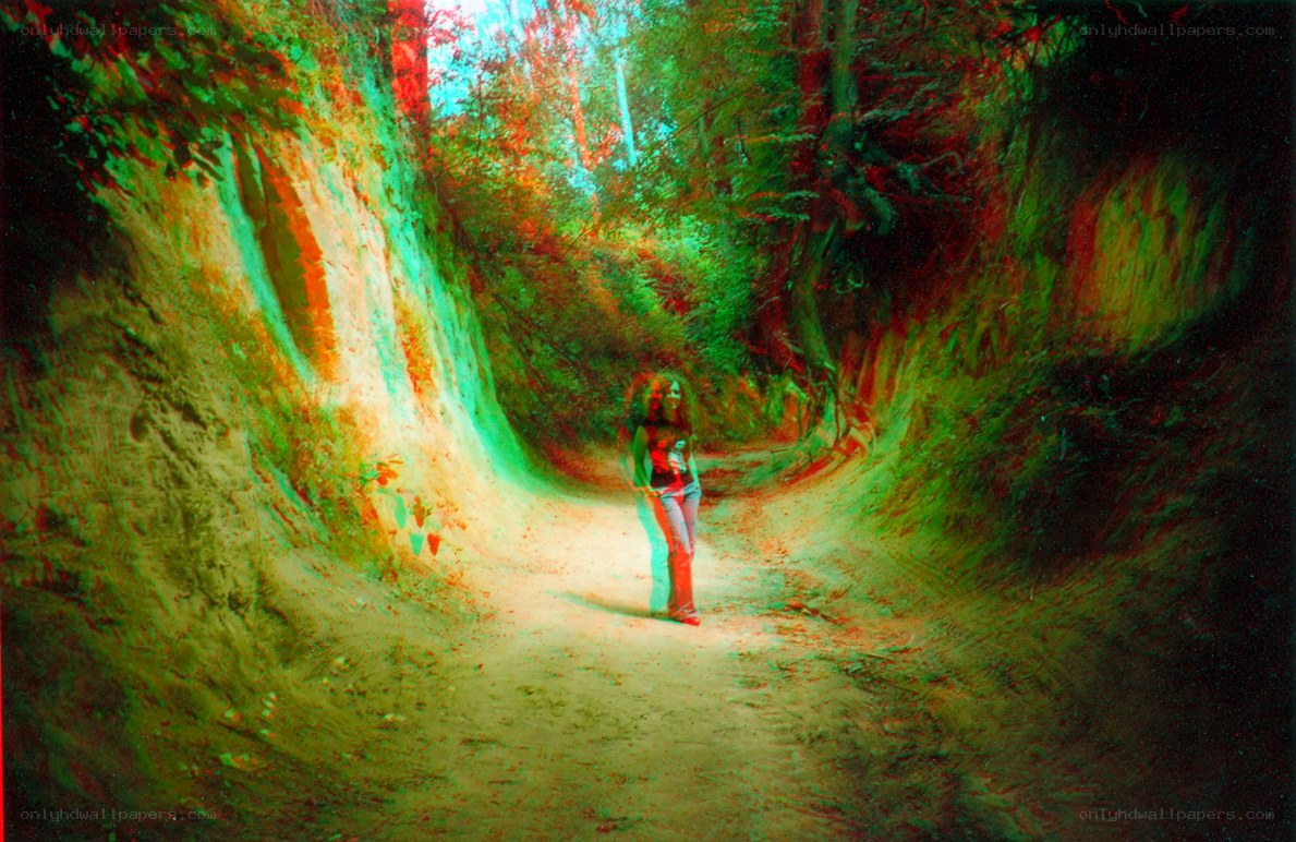 person in forest tunnel