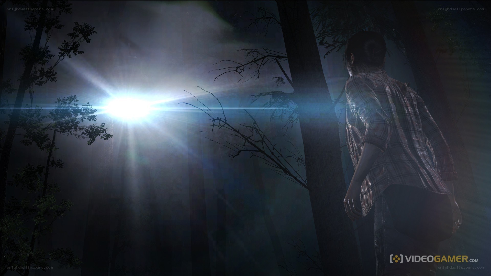 person in forest with bright light