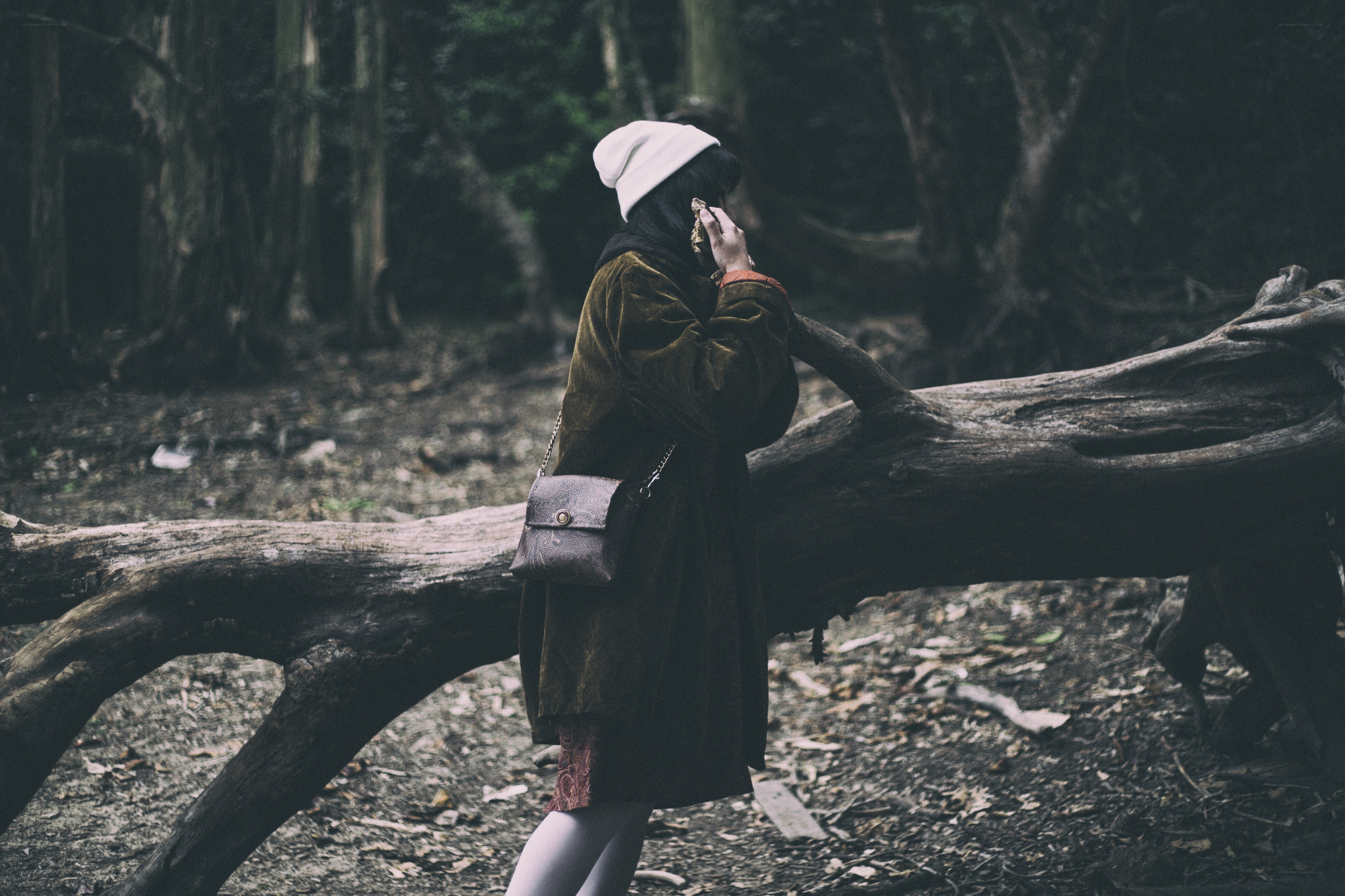 Person in forest with fallen log