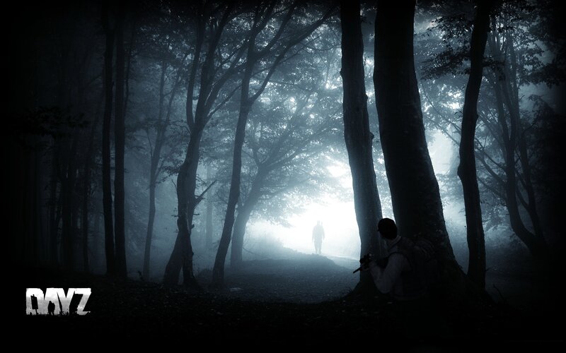 Person in Forest with Gun