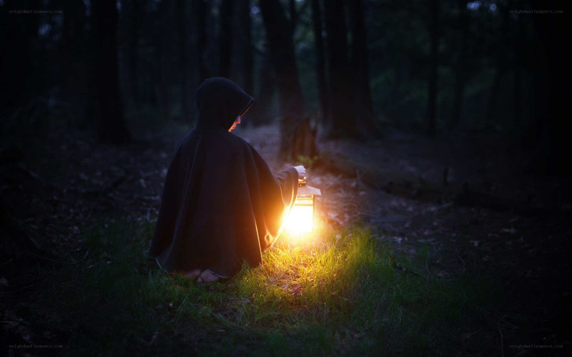 person in forest with lantern