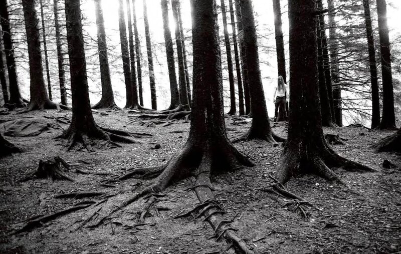 person in forest with roots
