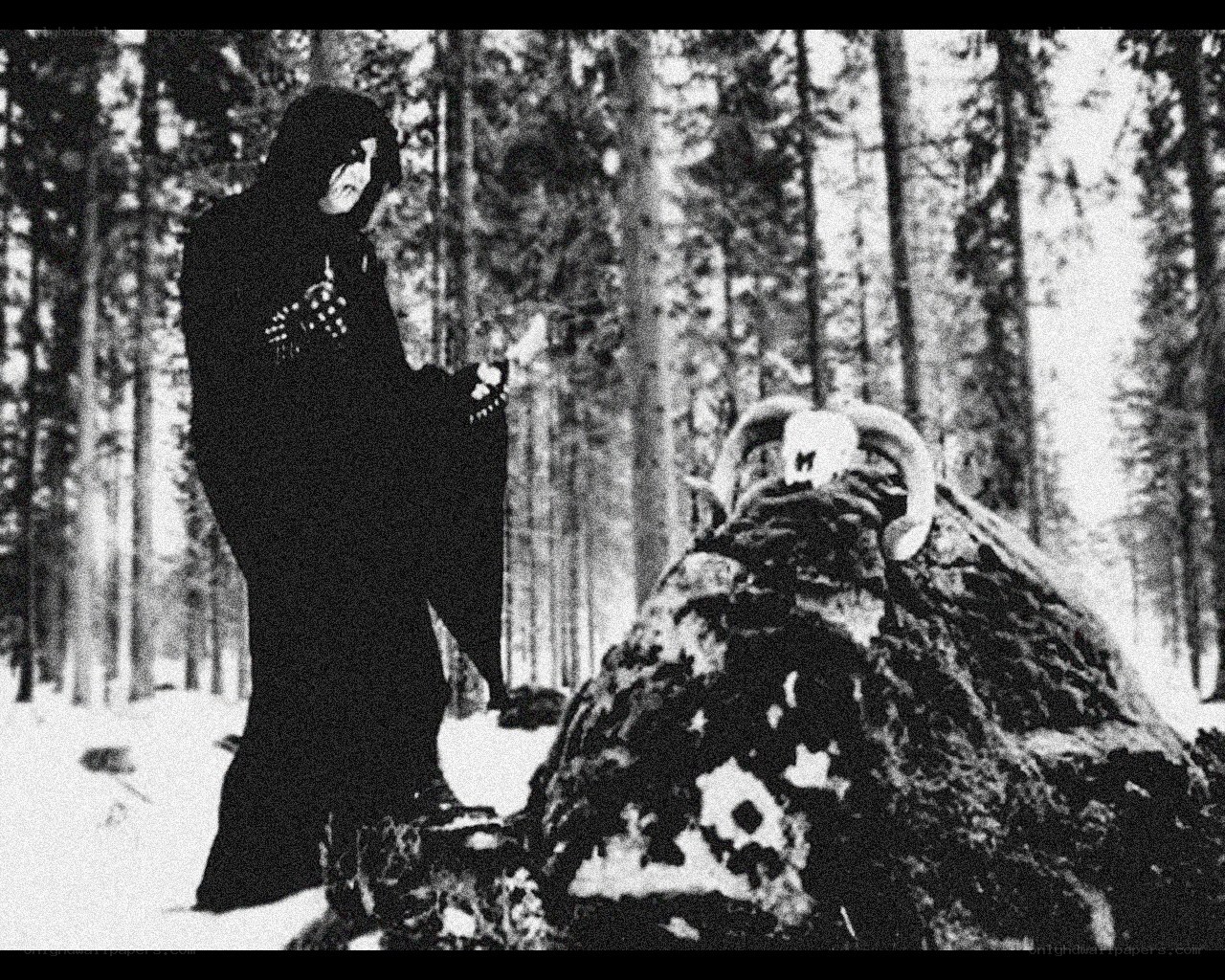 person in forest with skull