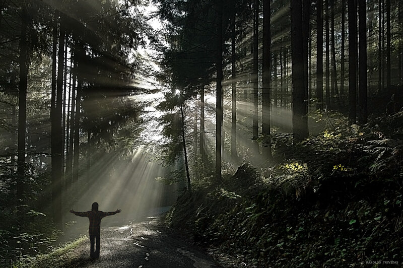 Person in forest with sunbeams